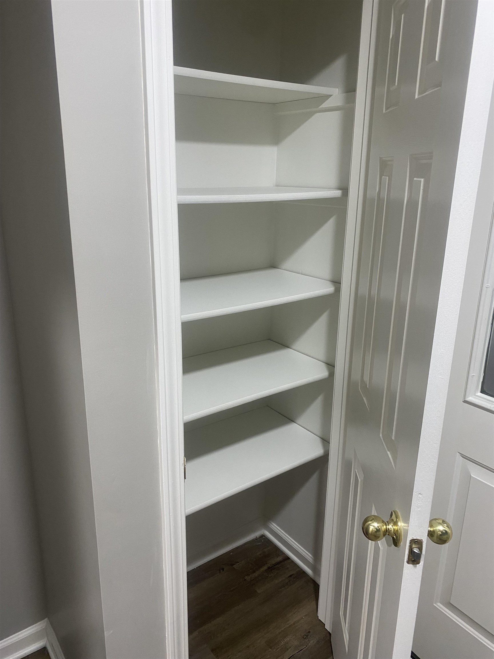 1167 Junco Cove Collierville, TN 38017 - Photo 24 of 25 a view of walk in closet with empty racks