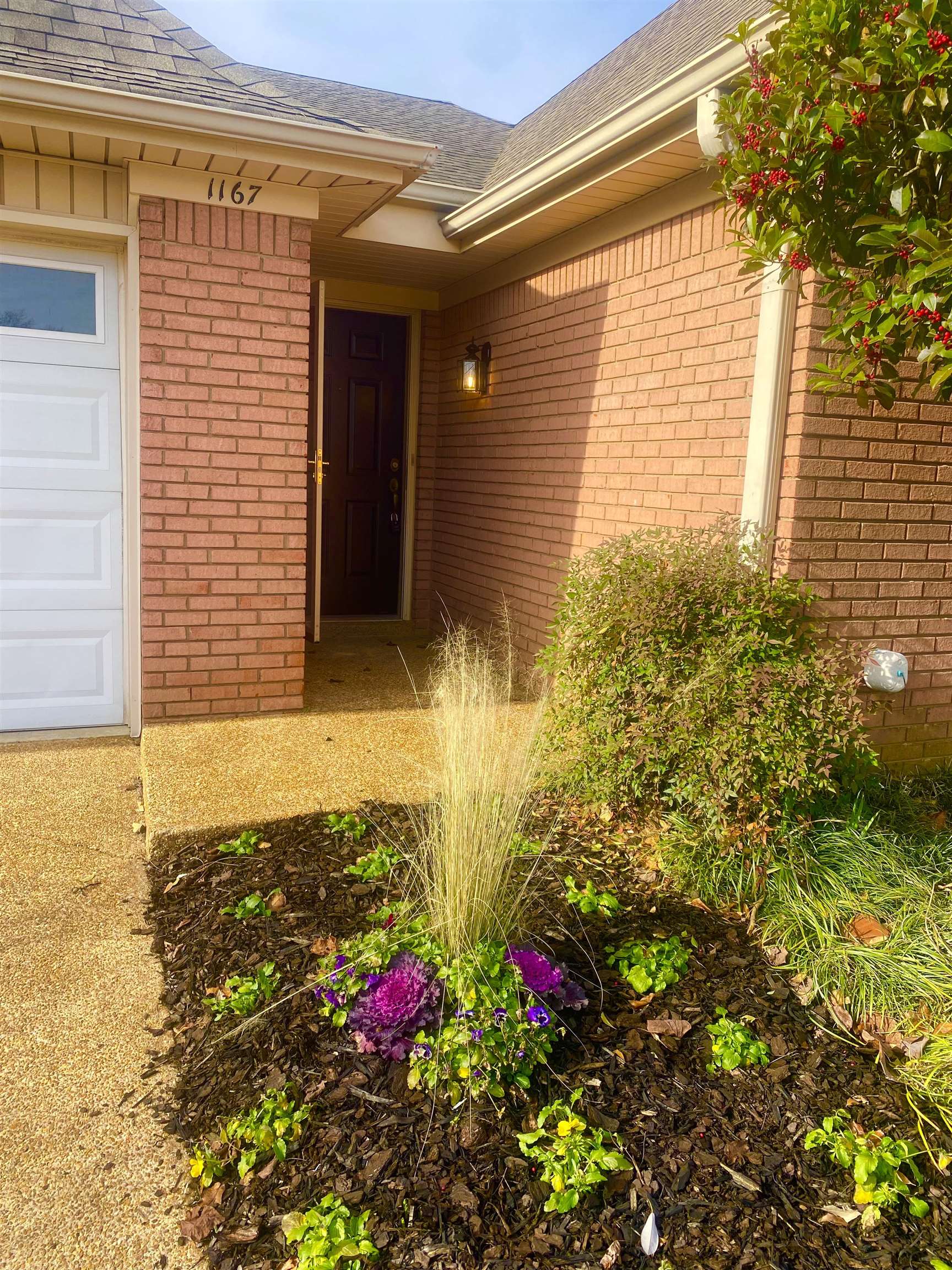 1167 Junco Cove Collierville, TN 38017 - Photo 25 of 25 a view of a backyard of the house
