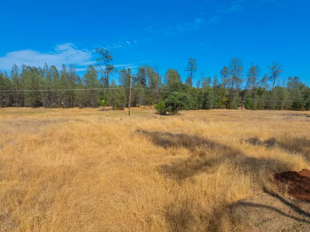 a view of an outdoor space and a yard