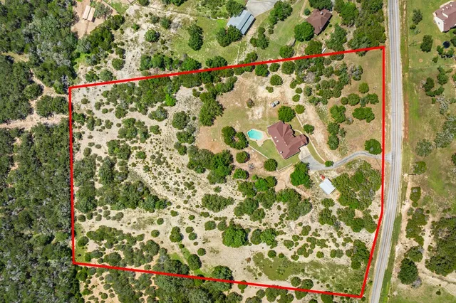 a close up of a plant