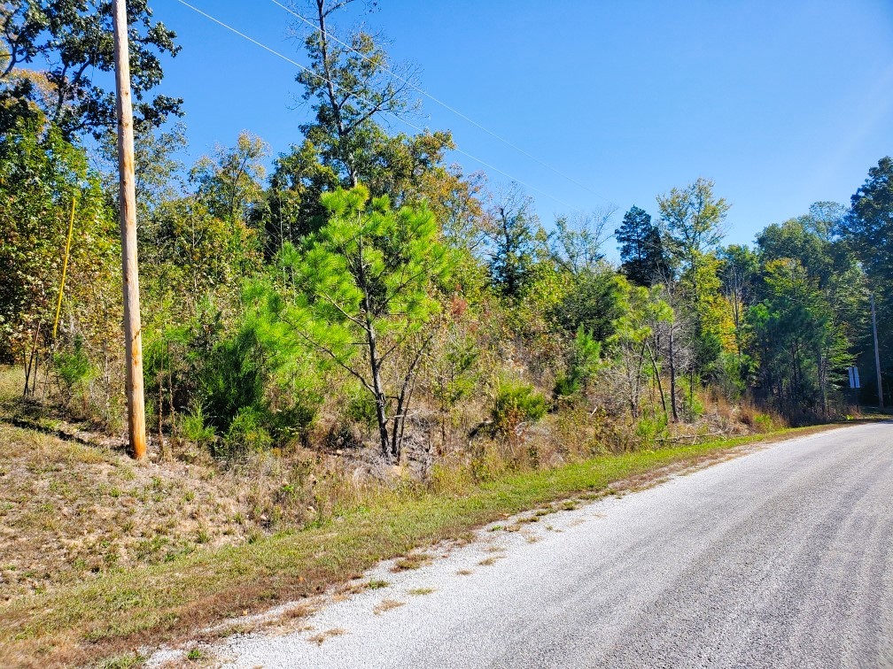 0 New Hope Road Big Sandy, TN 38221 - Photo 11 of 33 a view of a backyard of a house