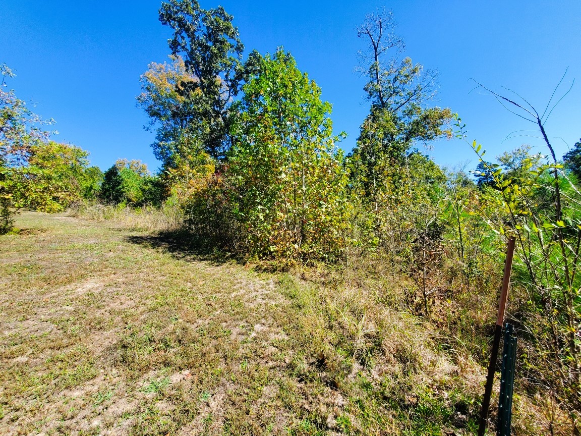 0 New Hope Road Big Sandy, TN 38221 - Photo 12 of 33 a view of a yard with plants and wooden fence