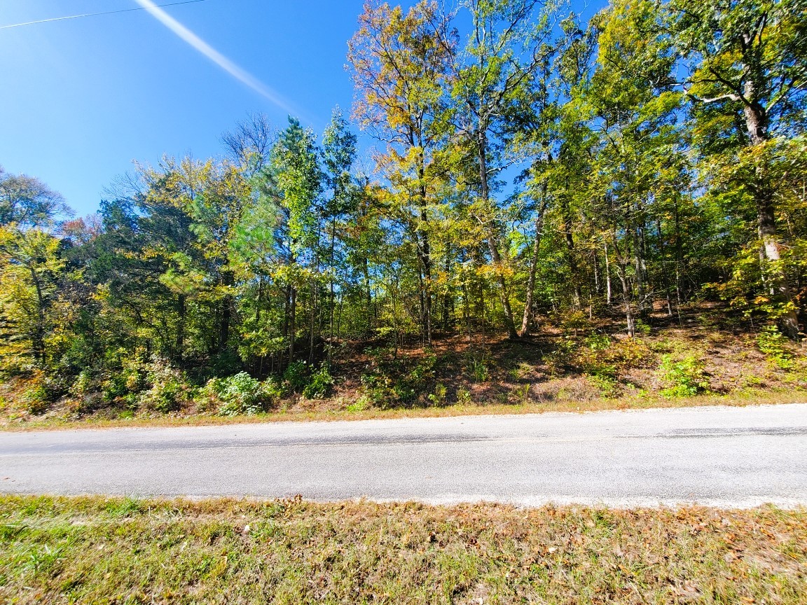 0 New Hope Road Big Sandy, TN 38221 - Photo 14 of 33 a view of a yard with an outdoor space