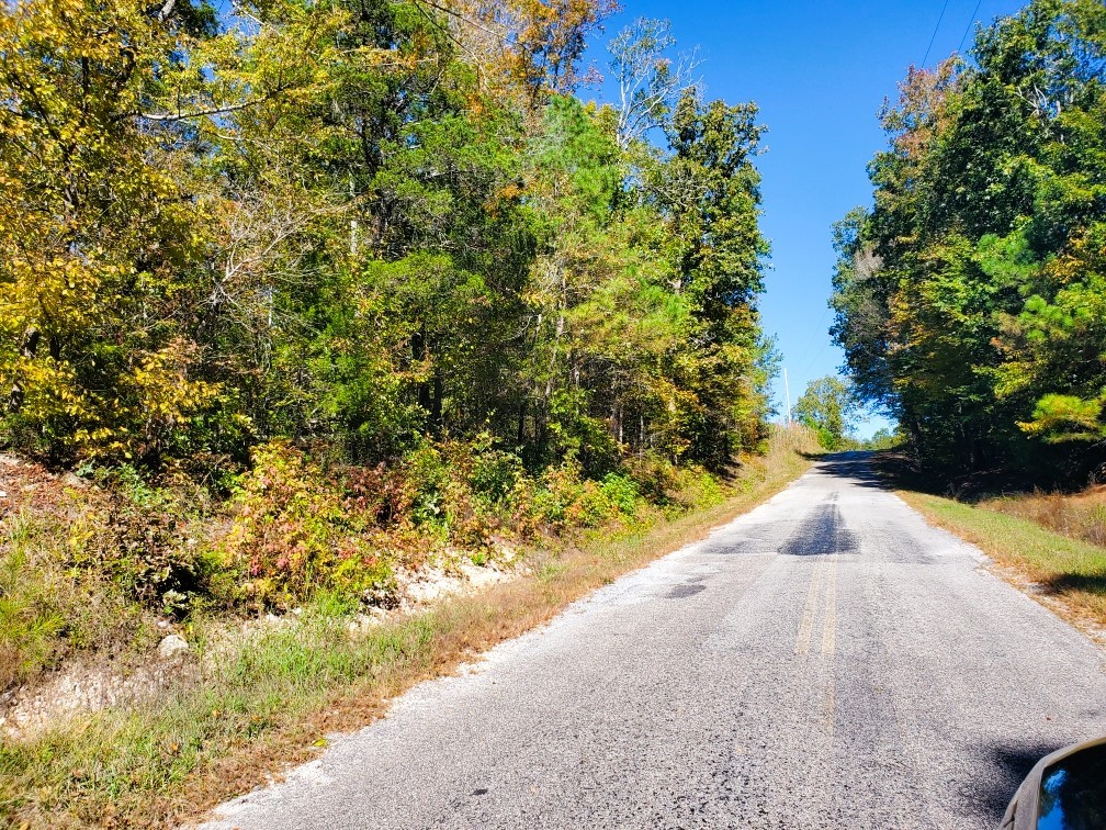 0 New Hope Road Big Sandy, TN 38221 - Photo 23 of 33 a view of a yard