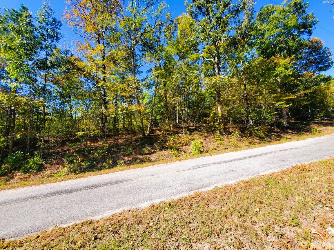 0 New Hope Road Big Sandy, TN 38221 - Photo 25 of 33