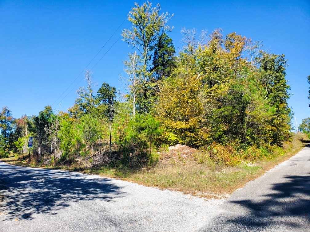 0 New Hope Road Big Sandy, TN 38221 - Photo 5 of 33 a view of a yard with plants