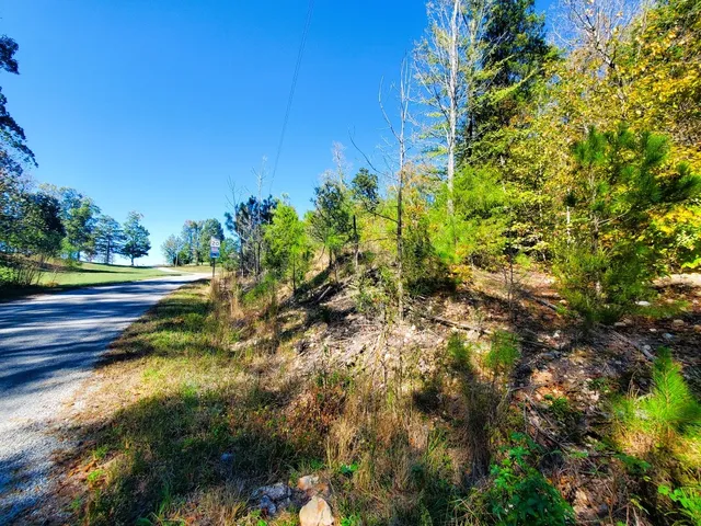a view of a yard with plants and trees