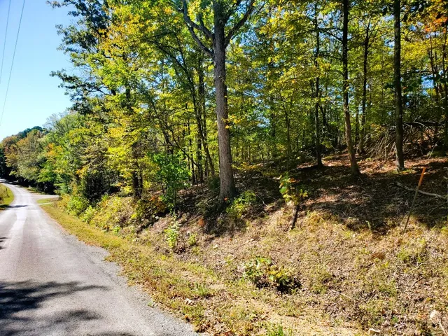 a view of a yard with trees