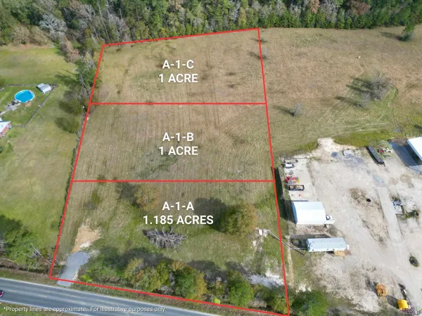 $40,000 | A-1 B Walker South Road, Walker, LA 70785