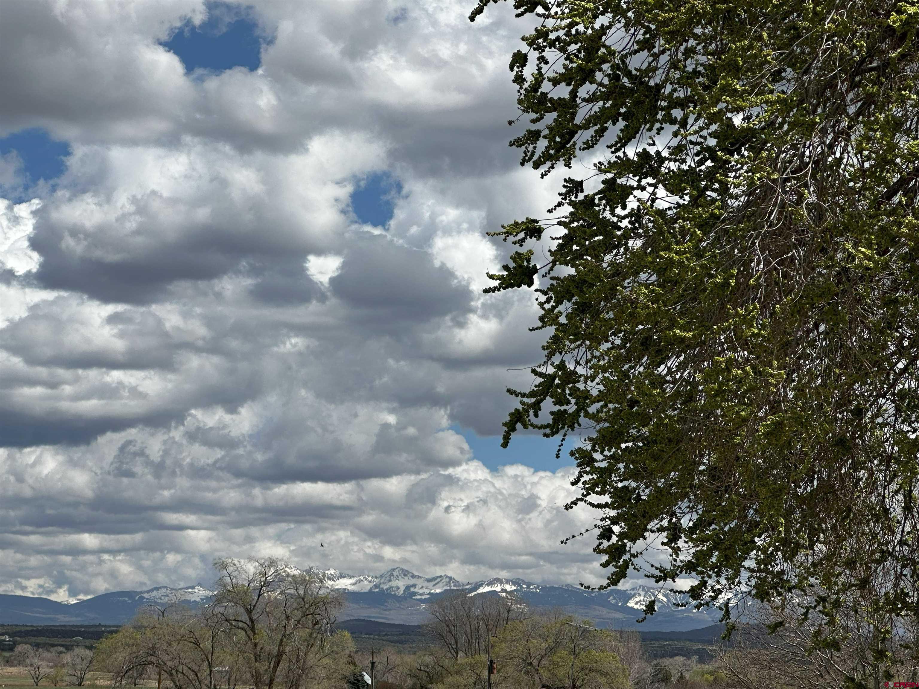 27425 County Rd M Dolores, CO 81323 - Photo 36 of 38 Gallery Image 36