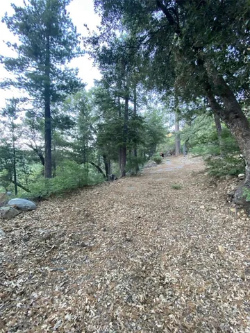 a view of a yard with a tree