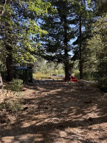 a view of a yard with a tree