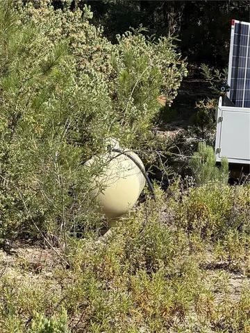 a view of a bunch of trees and bushes