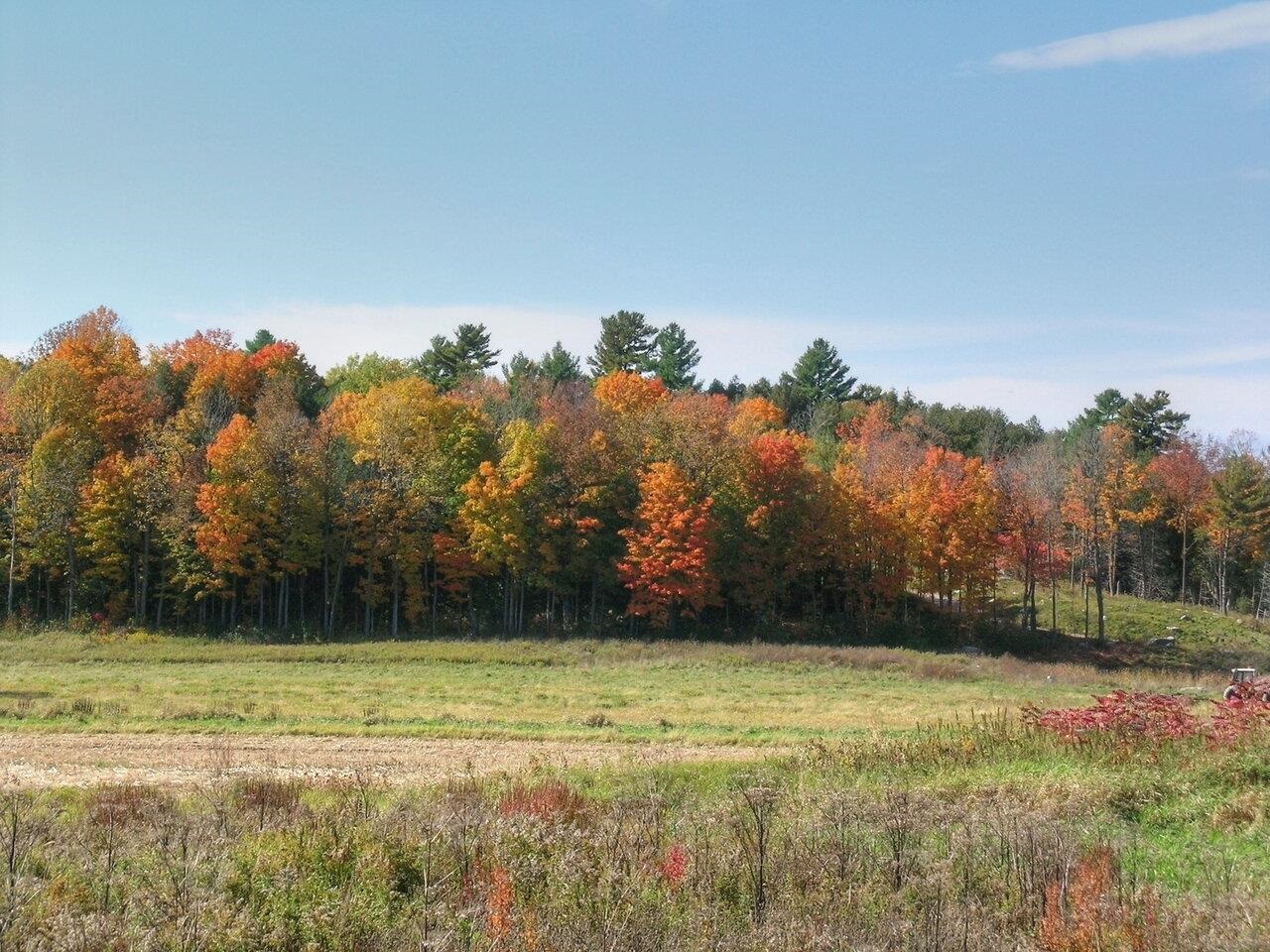 Lot 4 Finney Ridge Shelburne, VT 05482 - Photo 1 of 16 Gallery Image 1