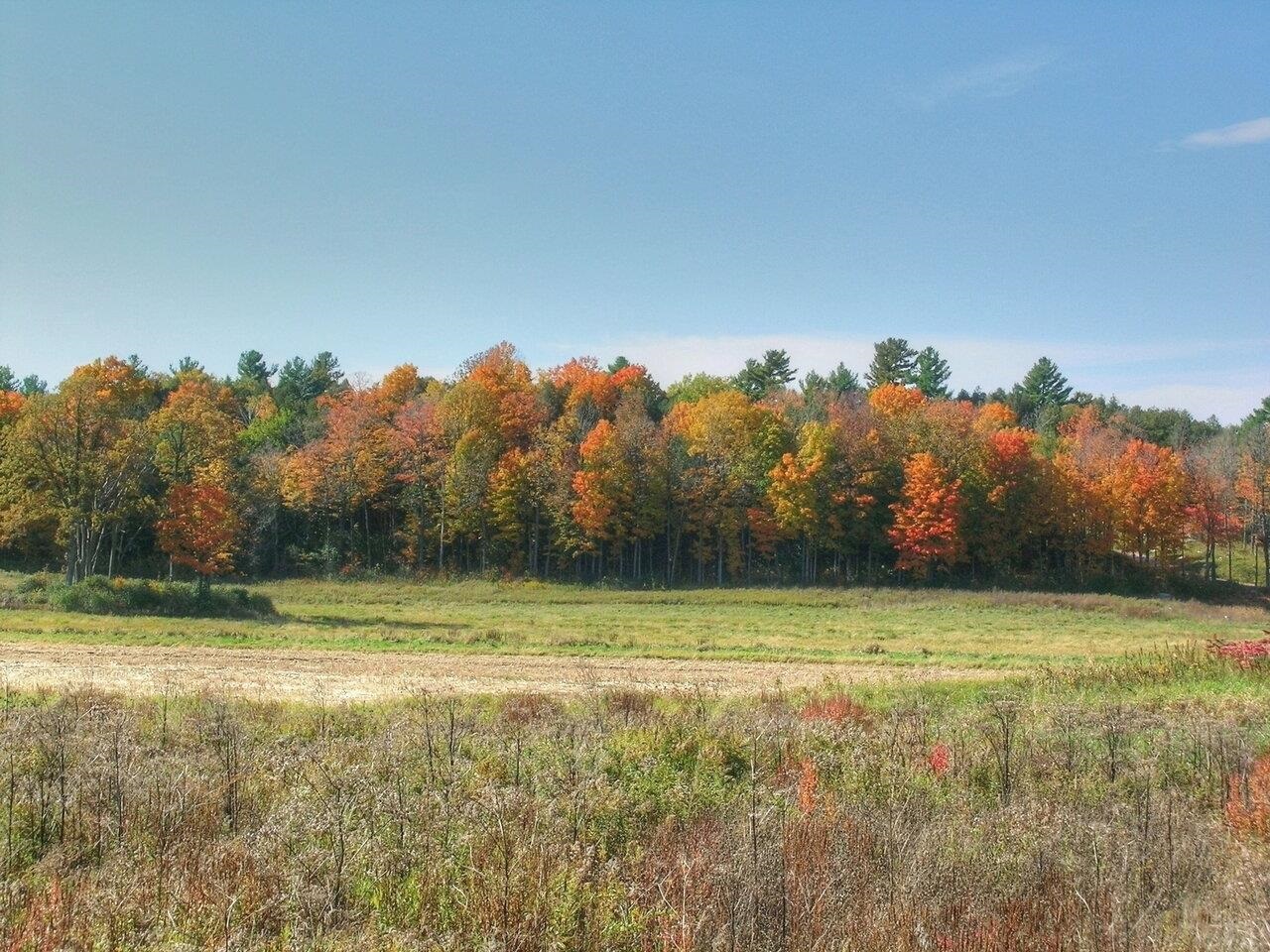Lot 4 Finney Ridge Shelburne, VT 05482 - Photo 16 of 16 Gallery Image 16