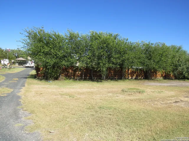a view of a yard with a tree