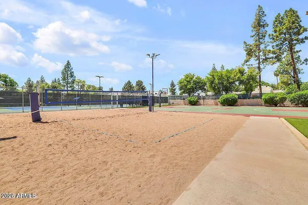 a view of a park with large trees