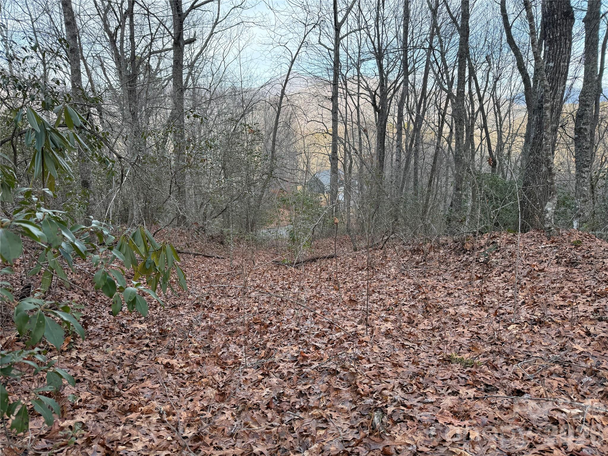Lot 20 Vail Pass Road Whittier, NC 28789 - Photo 9 of 9