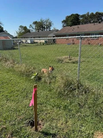 $215,000 | 495 Rowland Mill Road, Bruceton, TN 38317