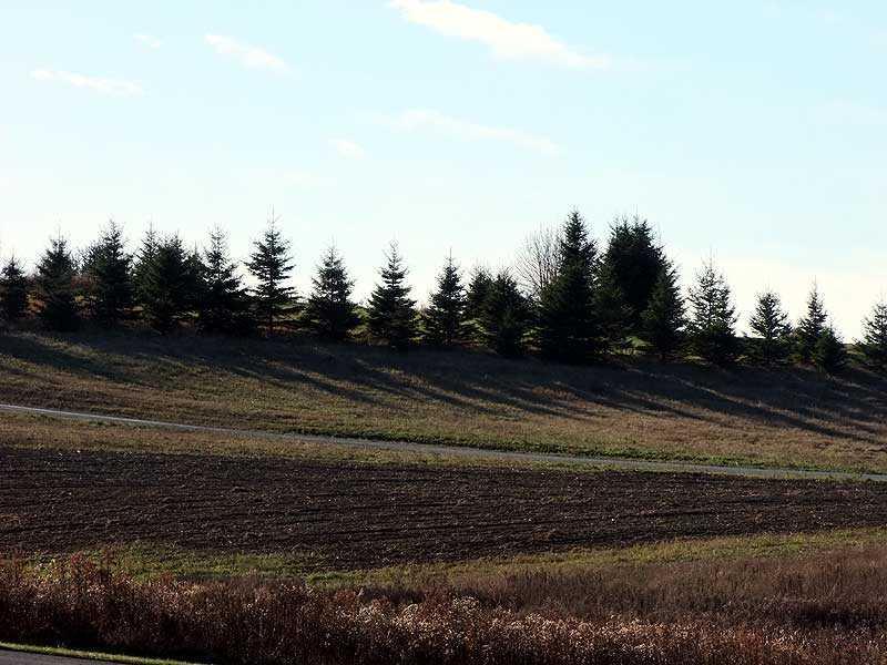 Lot 18 Cleaves Road Easton, ME 04740 - Photo 20 of 22 Land.