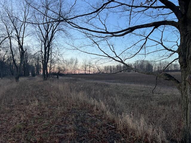 10 10 Mile Road Lakeview, MI 48850 - Photo 9 of 12