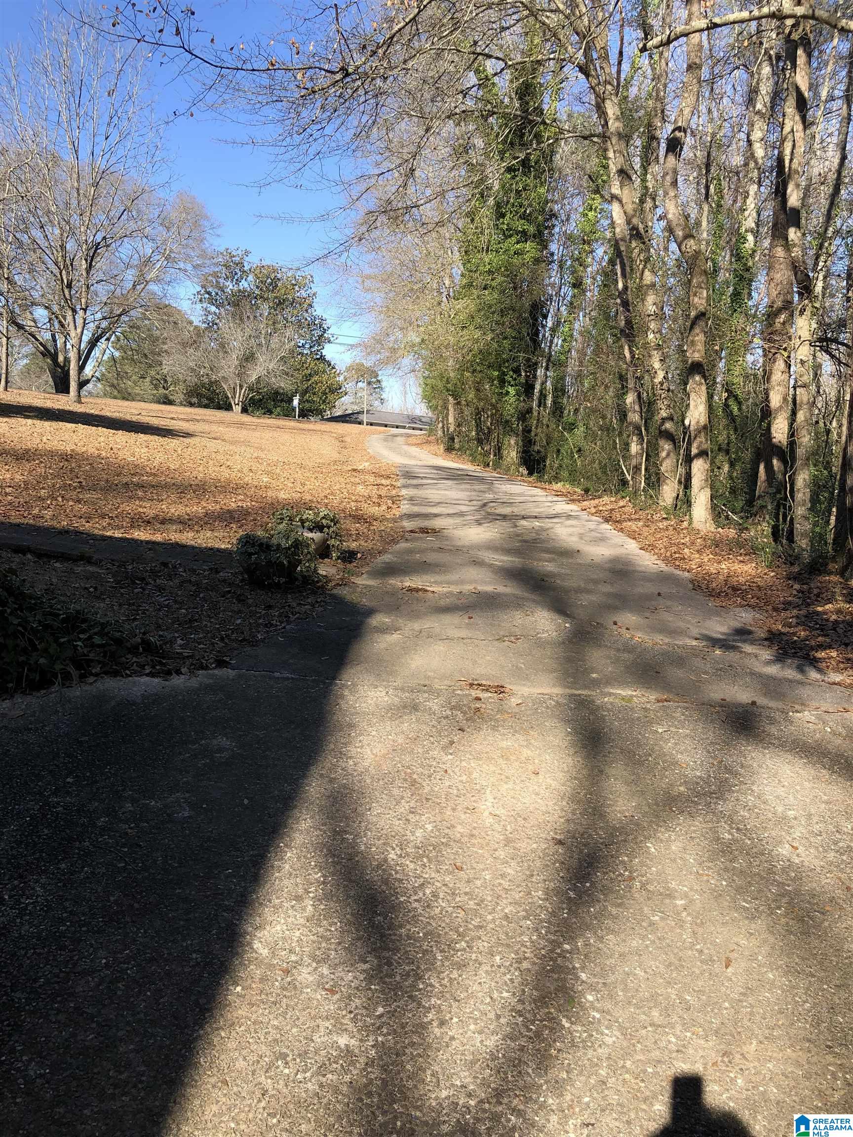 981 Morris Majestic Road Morris, AL 35116 - Photo 3 of 36