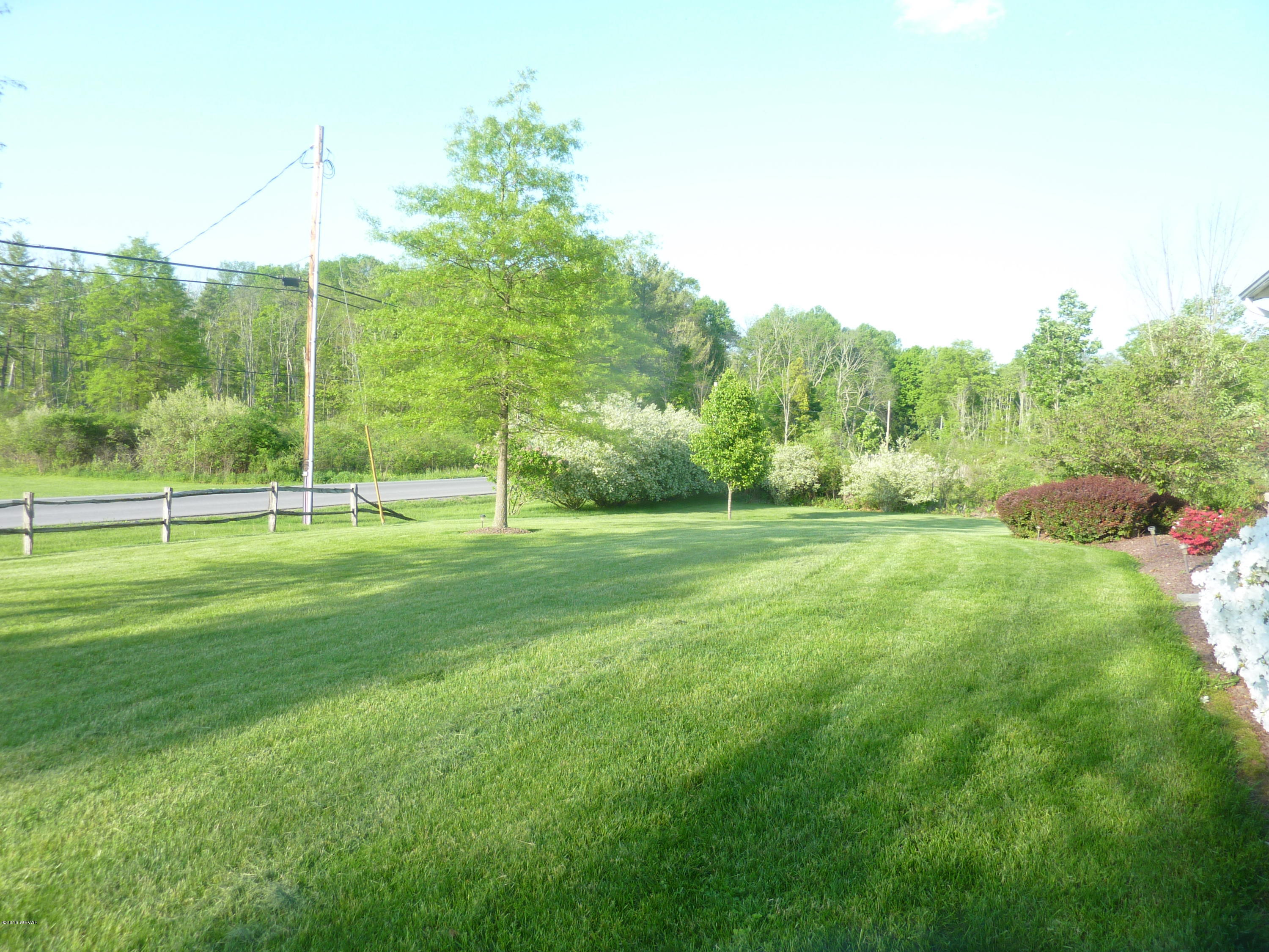 1267 Gap Road Allenwood, PA 17810 - Photo 5 of 47 Front yard