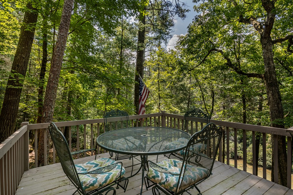 263 Indian Cave Road Ellijay, GA 30536 - Photo 44 of 50