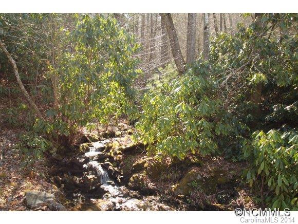 601 Jess Cove Road Clyde, NC 28721 - Photo 23 of 23