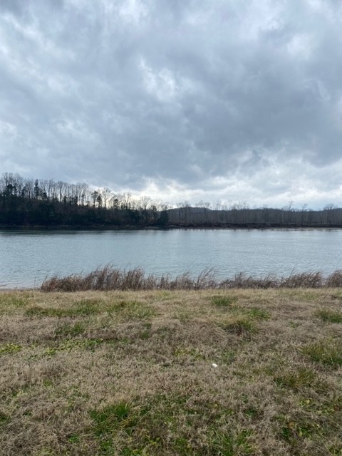1481 Hardin Bottom Road Clifton, TN 38425 - Photo 1 of 4 Gallery Image 1