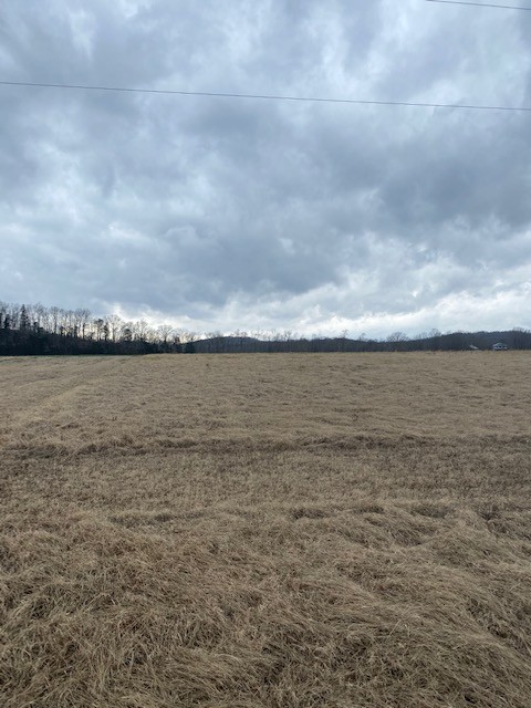 1481 Hardin Bottom Road Clifton, TN 38425 - Photo 2 of 4 Gallery Image 2