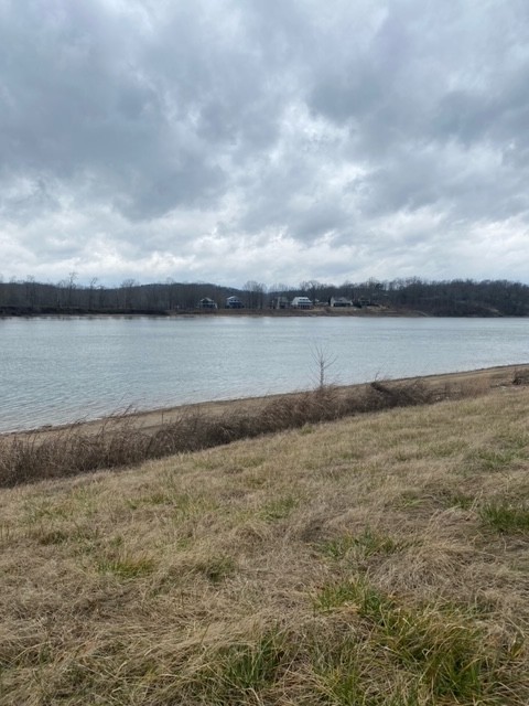 1481 Hardin Bottom Road Clifton, TN 38425 - Photo 3 of 4 Gallery Image 3