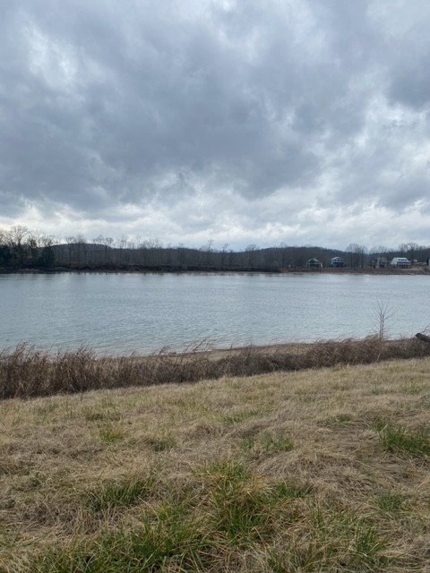 1481 Hardin Bottom Road Clifton, TN 38425 - Photo 4 of 4 Gallery Image 4