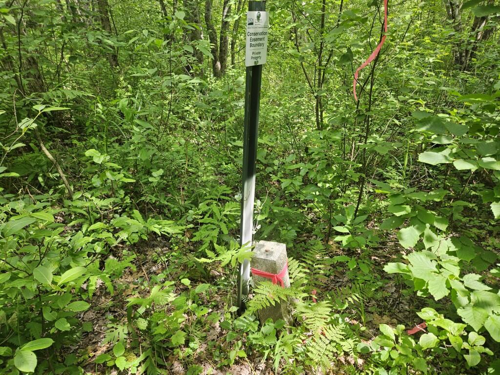 M5-l5 Call Road Milford, ME 04461 - Photo 37 of 51 20250706_121211