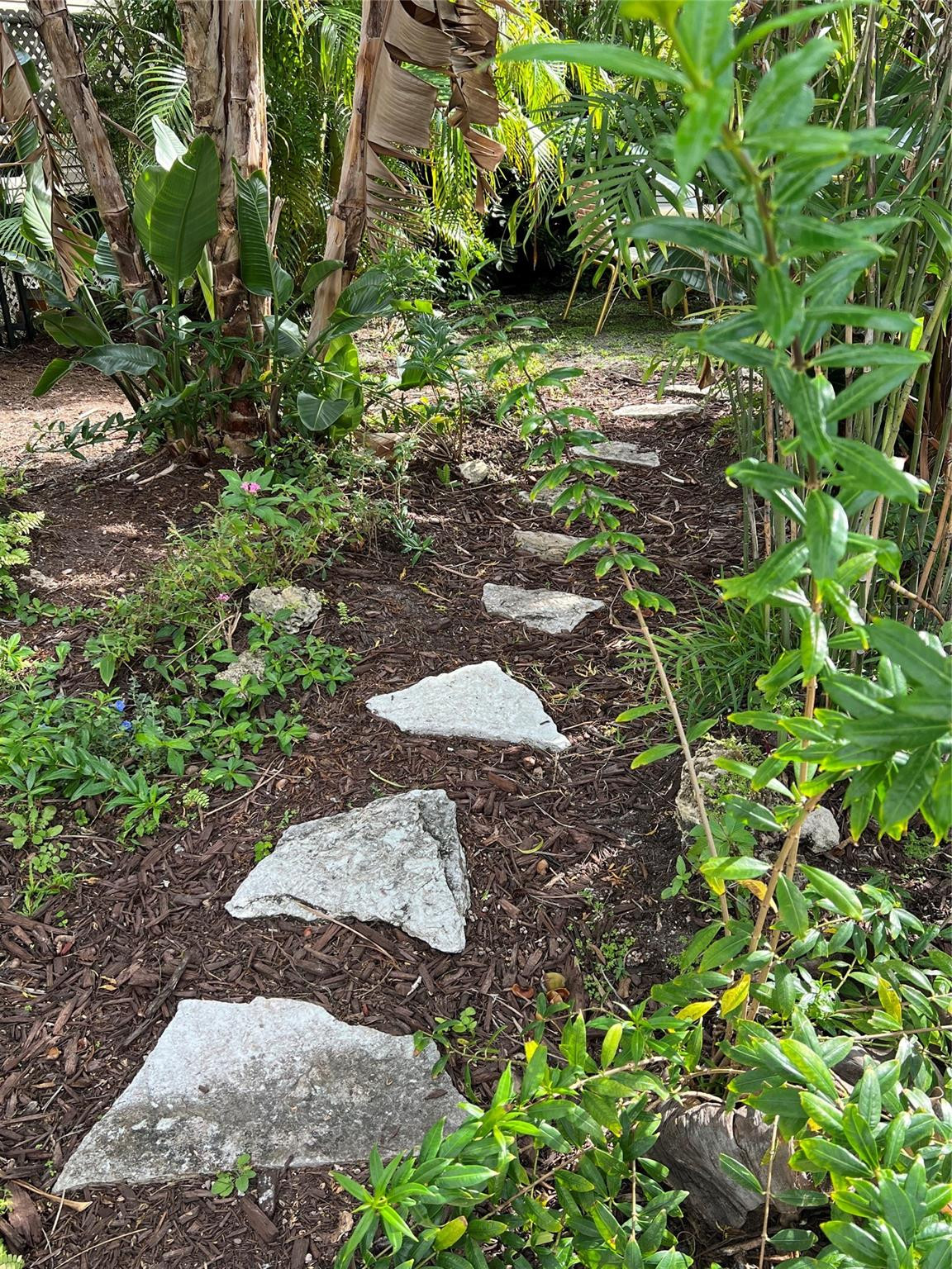 4408 Monroe Street Hollywood, FL 33021 - Photo 21 of 26 a wooden floor in a garden