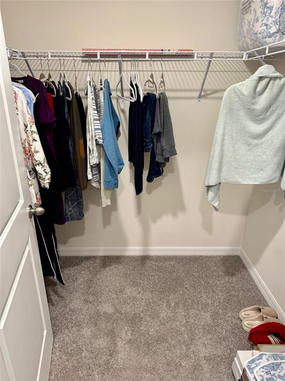 13374 Mylion Way Spring Hill, FL 34610 - Photo 18 of 39 a view of walk in closet with clothes and shoes