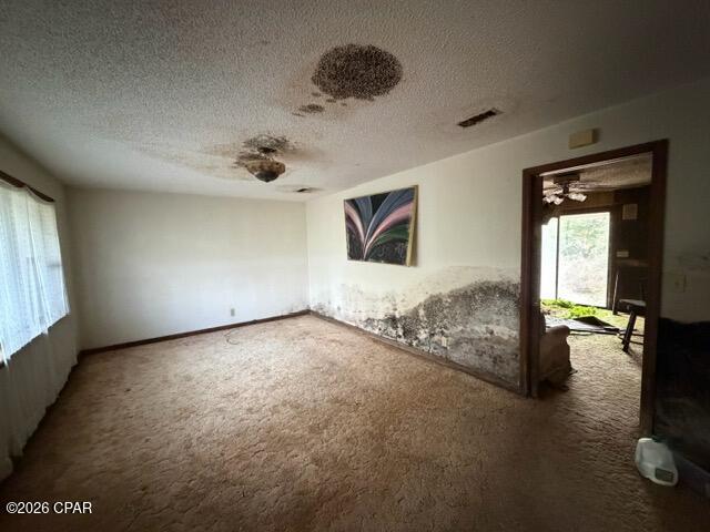 2733 Poplar Springs Road Marianna, FL 32446 - Photo 12 of 24