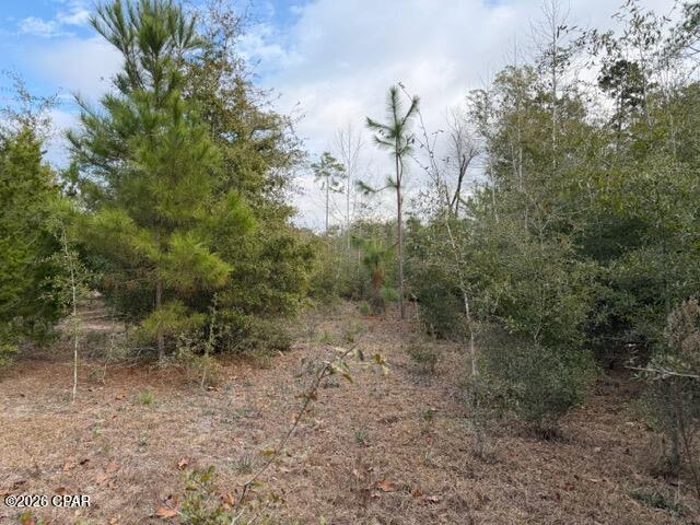 2733 Poplar Springs Road Marianna, FL 32446 - Photo 19 of 24