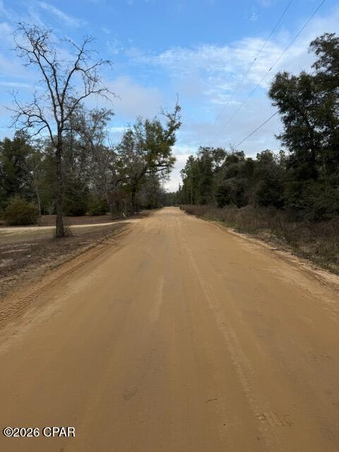 2733 Poplar Springs Road Marianna, FL 32446 - Photo 20 of 24