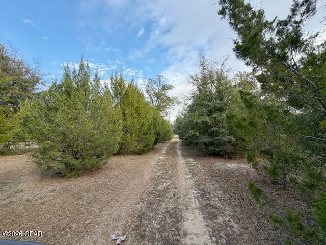 2733 Poplar Springs Road Marianna, FL 32446 - Photo 22 of 24