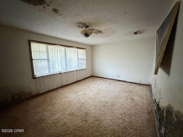 2733 Poplar Springs Road Marianna, FL 32446 - Photo 10 of 24