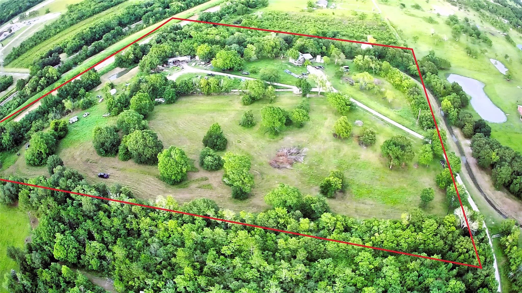 a view of a garden with plants