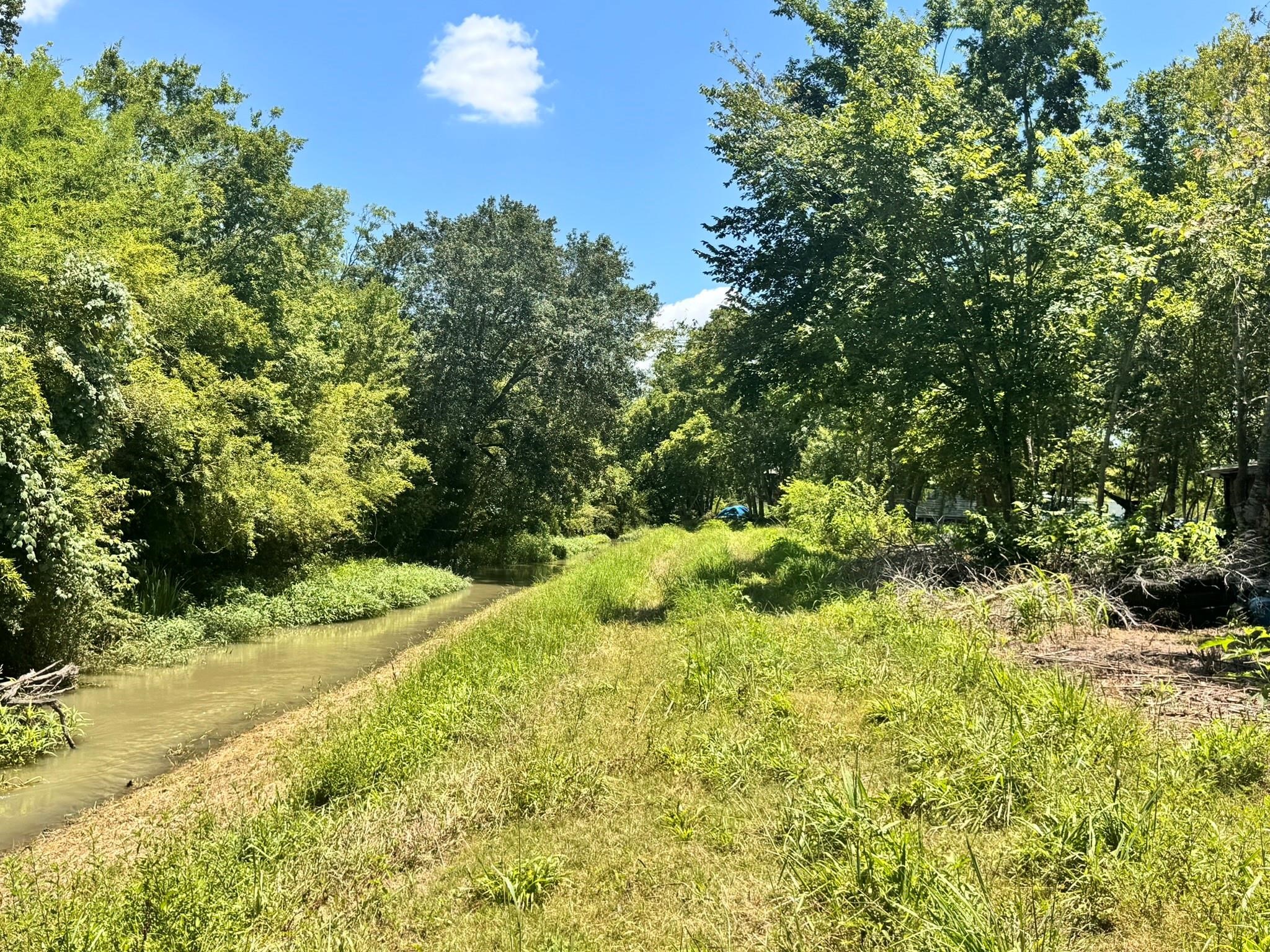 5355 County Road 418 Manvel, TX 77583 - Photo 12 of 12 a view of a yard with a tree