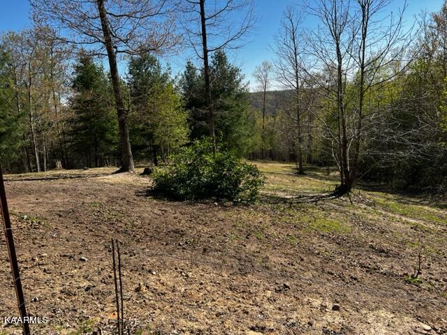 208 Rainbow Road Lancing, TN 37770 - Photo 17 of 20 IMG_1843