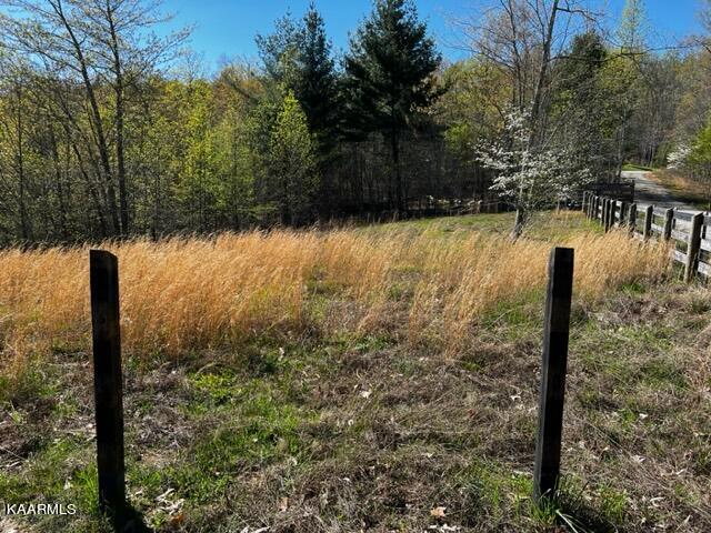 208 Rainbow Road Lancing, TN 37770 - Photo 18 of 20 IMG_1842