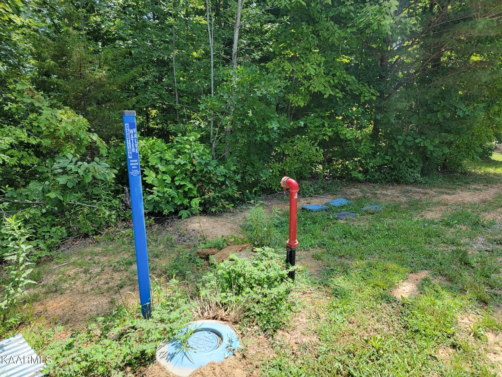 208 Rainbow Road Lancing, TN 37770 - Photo 20 of 20 Water