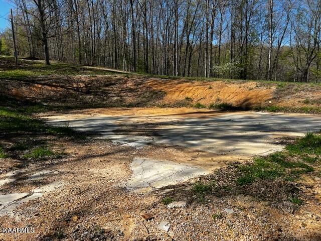 208 Rainbow Road Lancing, TN 37770 - Photo 3 of 20 IMG_1830