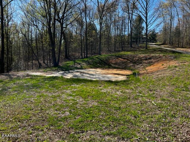 208 Rainbow Road Lancing, TN 37770 - Photo 4 of 20 IMG_1829