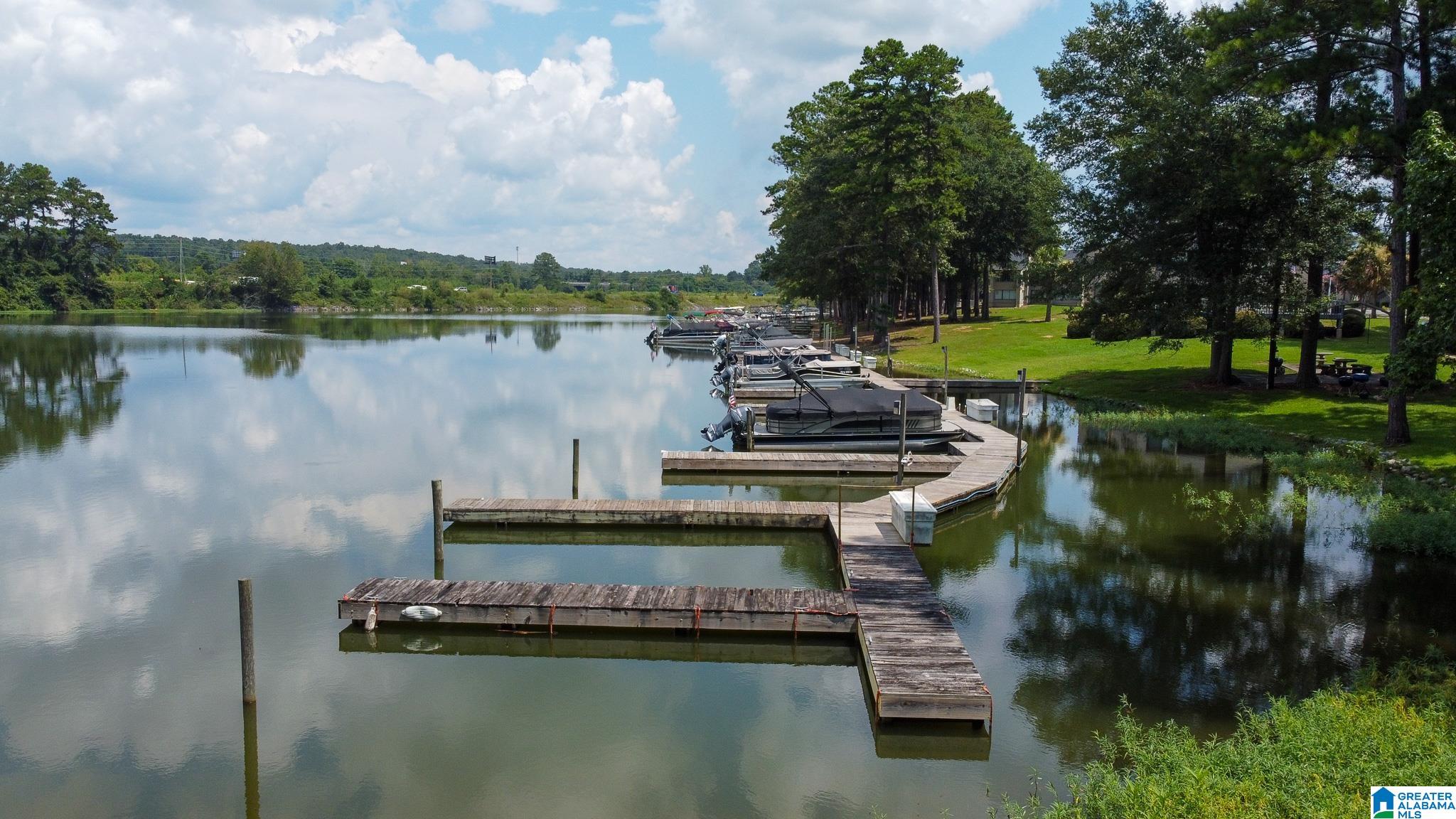 402 Paradise Isle, Unit 402 Riverside, AL 35135 - Photo 41 of 51