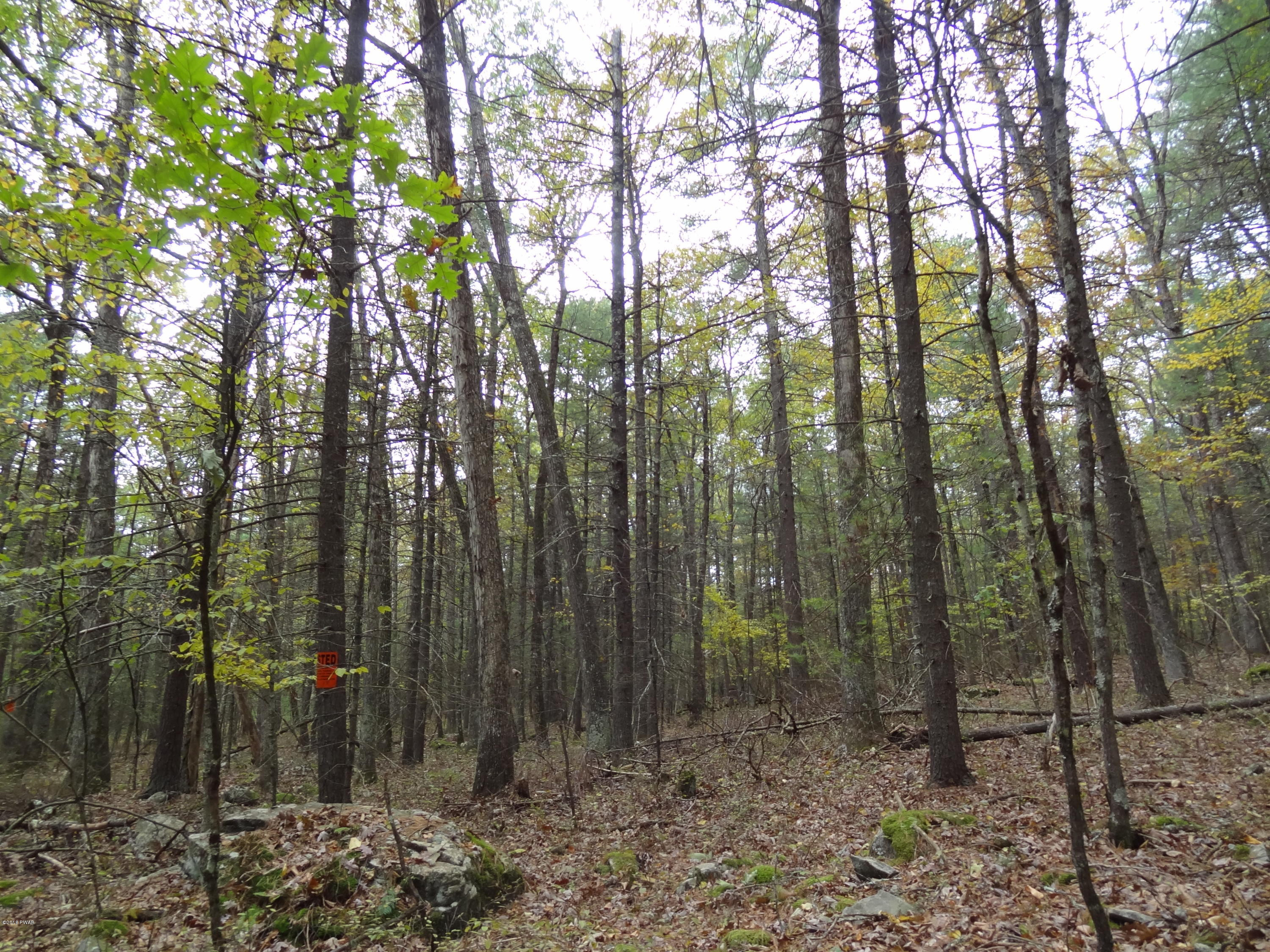 Hendrick Road Hawley, PA 18428 - Photo 4 of 11
